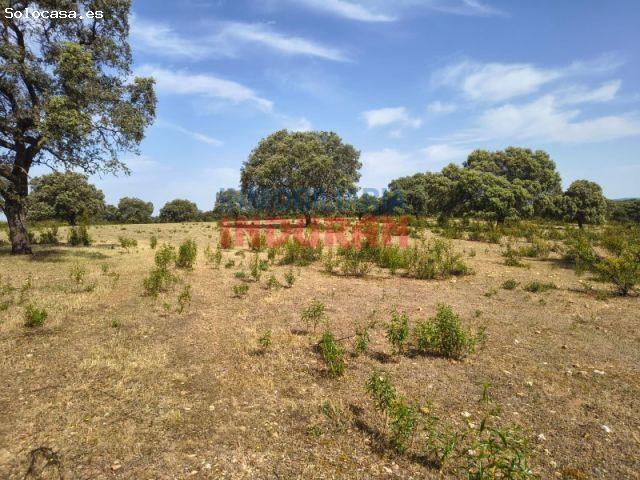 Casa en venta en Talaván, Extremadura