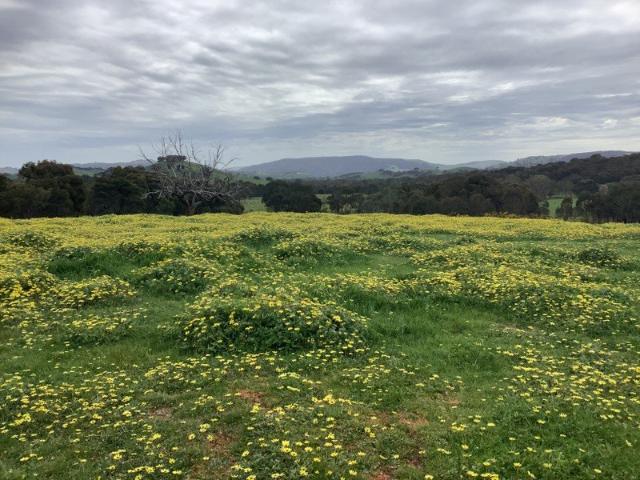 Acreage for sale in Whiteheads Creek, Victoria