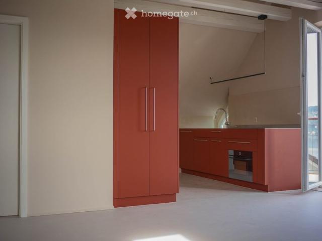 Apartment mieten in Platte, Thalwil