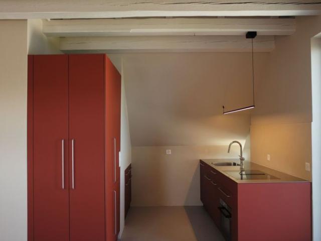 Apartment mieten in Platte, Thalwil