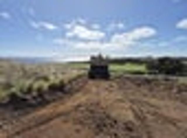 Land for sale in Matata, Wellington