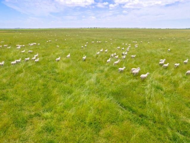 Cottage for sale in Millicent, South Australia