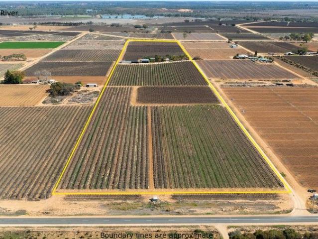 House for sale in Cobdogla, South Australia