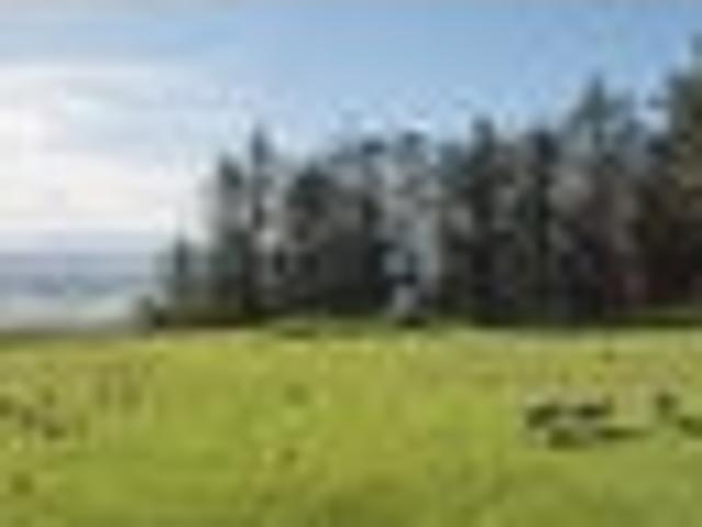 House for sale in Richmond, Tasman