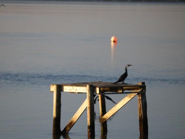 Cottage for sale in Palana, Tasmania