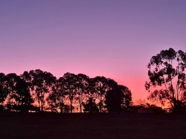 House for sale in Cargo, New South Wales