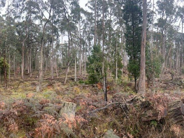 Land for sale in Leonards Hill, Victoria