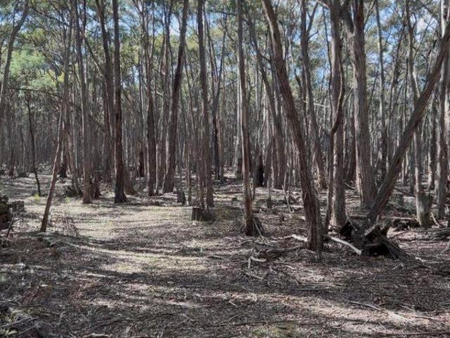 Land for sale in Glenlyon, Victoria
