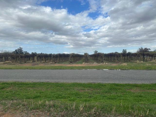 Property for sale in Renmark West, South Australia
