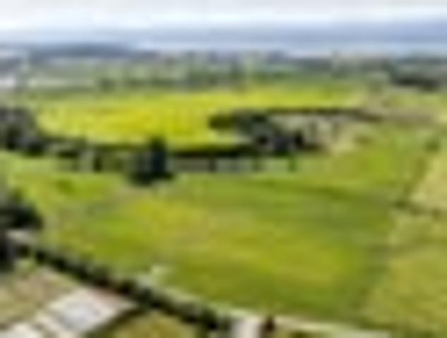 Land for sale in Tasman District, Tasman