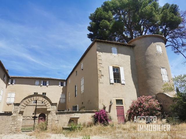 Château vente à Lézignan-la-cèbe