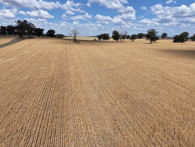 Acreage for sale in Combaning, New South Wales