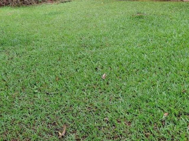Sítio e chácara venda em Região Geográfica Imediata de Oliveira, Piracema