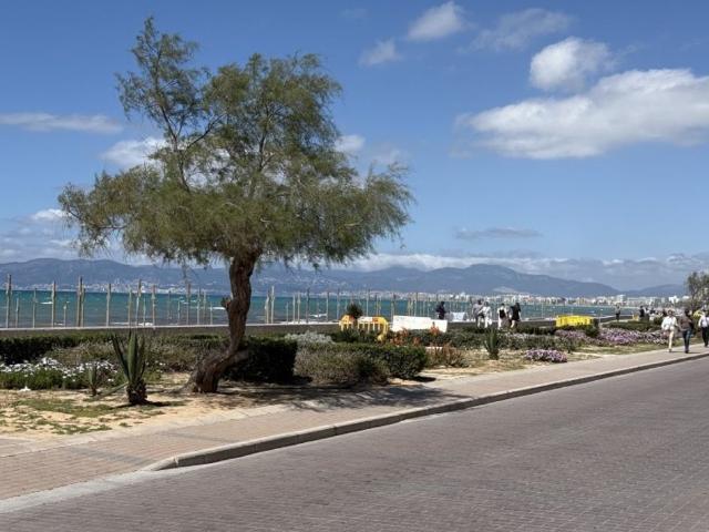 Chalet en venta en es Coll d'en Rabassa, Palma