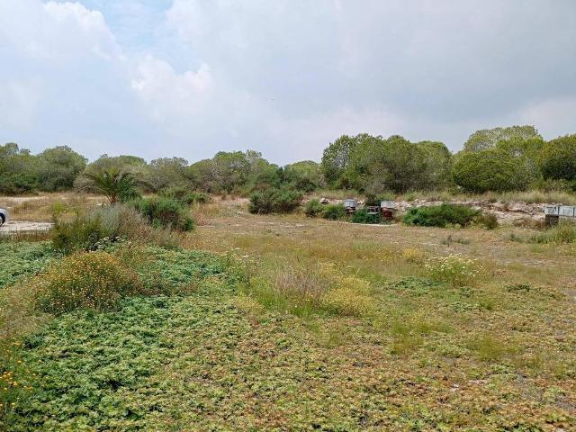 Casa en venta en el Vincle, el Baix Vinalopó