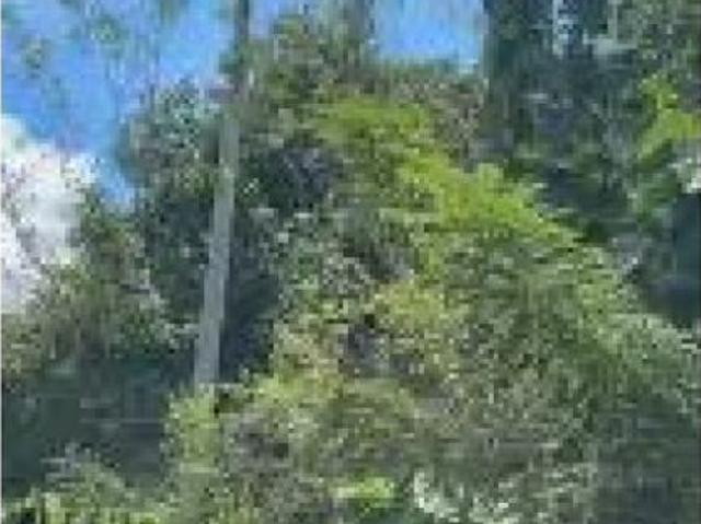 Exclusiva casa de campo en venta Calobre, Provincia de Veraguas