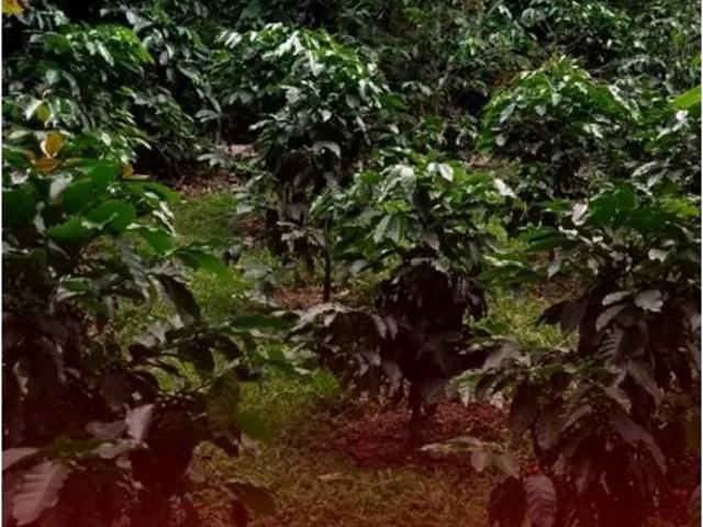 Exclusiva casa de campo en venta Copacabana, Colombia