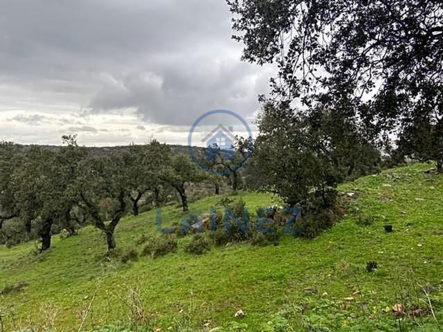 Casa en venta en Fuente Obejuna, Andalucía