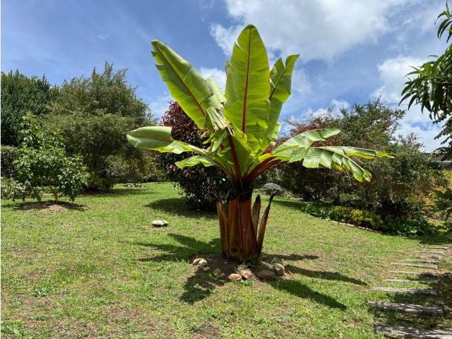 Exclusiva casa de campo en venta La Calera, Colombia