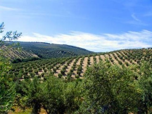 Casa en venta en Lucena, Andalucía