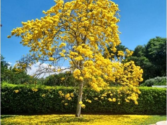 Exclusiva casa de campo en venta Pereira, Departamento de Risaralda