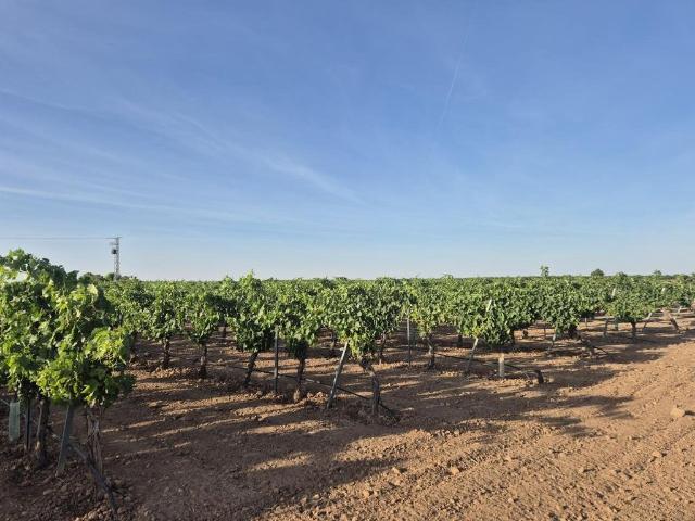 Casa en venta en Socuéllamos, Castilla-La Mancha