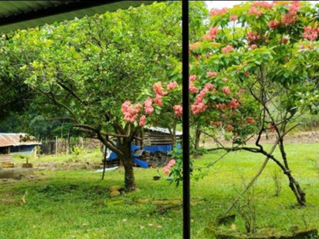 Exclusiva casa de campo en venta Tauramena, Departamento de Casanare