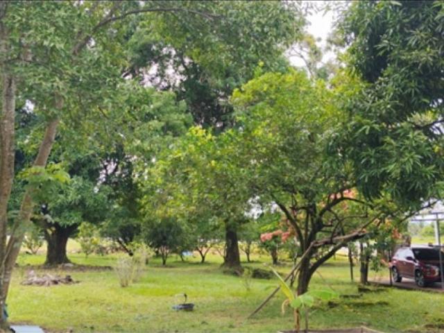 Exclusiva casa de campo en venta Tauramena, Departamento de Casanare
