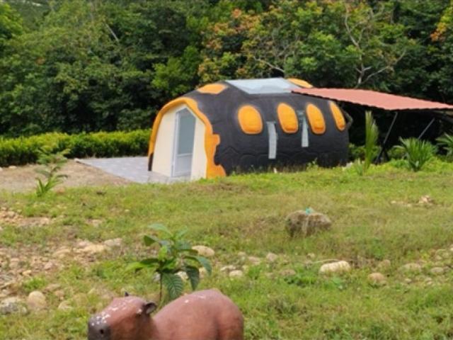 Exclusiva casa de campo en venta Tauramena, Departamento de Casanare
