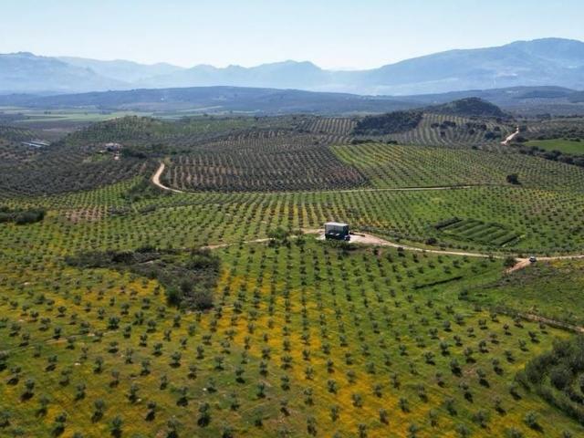 Terreno en venta en Archidona