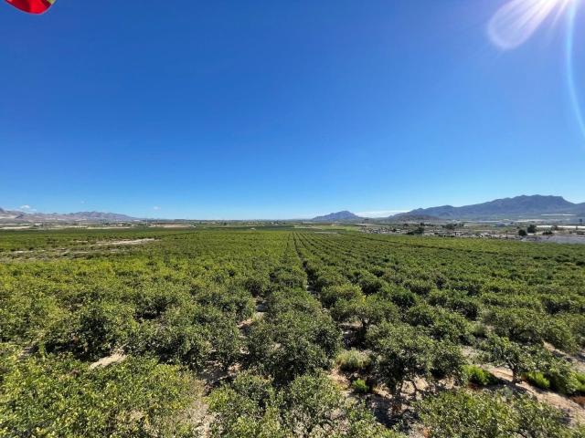Casa en venta en Rincón de Seca, Área Metropolitana de Murcia