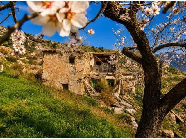 Local Comercial en venta en Comarca de la Alpujarra Granadina, Andalucía