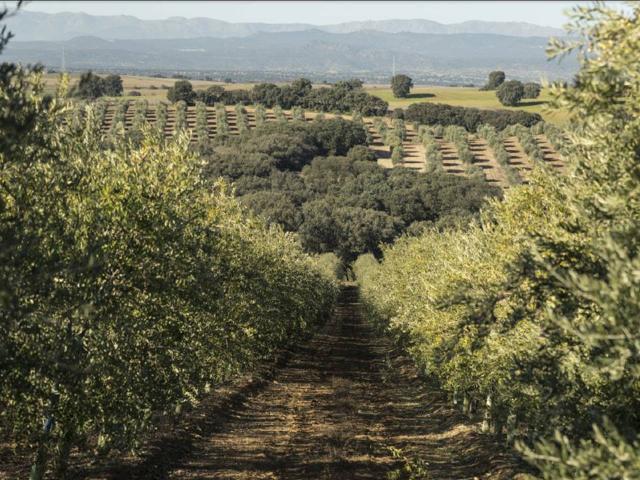 Casa Rural en venta en Torrijos, Castilla-La Mancha