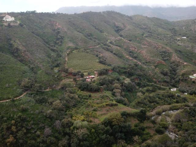 Terreno en venta en Forest Hills, Costa del Sol Occidental