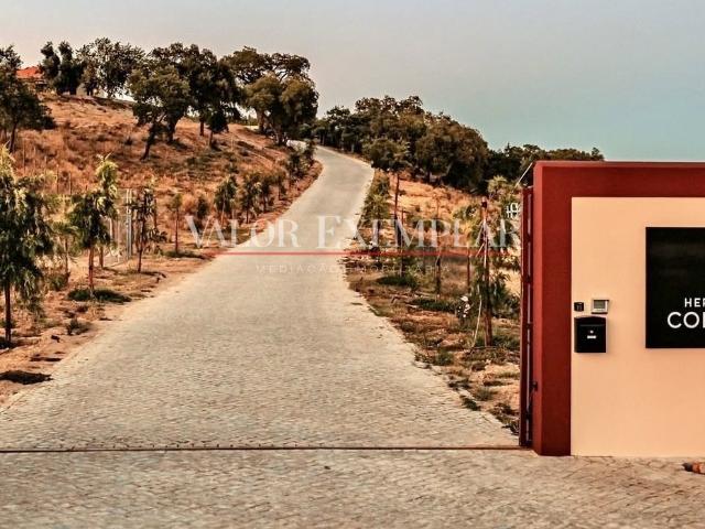 Quinta venda em Alto da Coelha, Chamusca