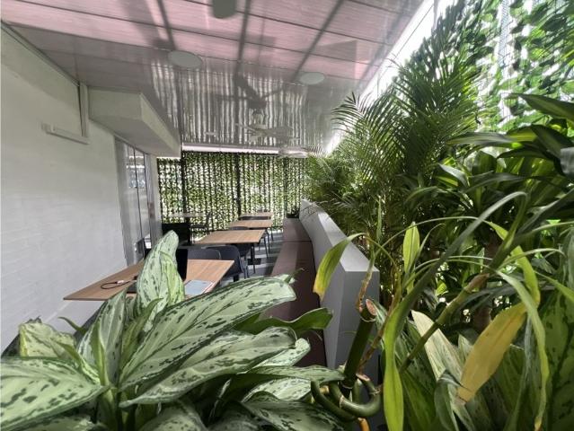 Oficina de lujo en alquiler Ibagué, Departamento de Tolima