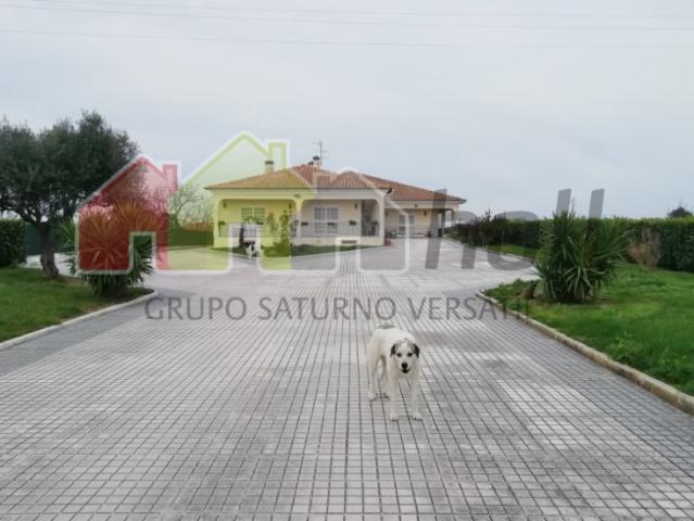 Quinta venda em Palmela, Setúbal