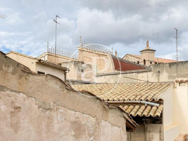 Villa en venta en Palma, el Call
