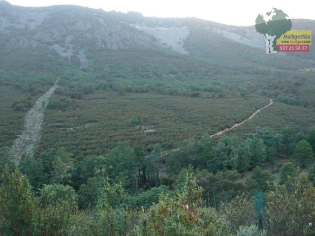 Chalet en venta en Guadalupe, Extremadura