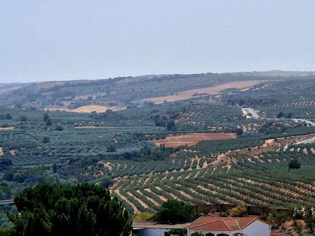 Chalet en venta en Loreto, Moraleda de Zafayona