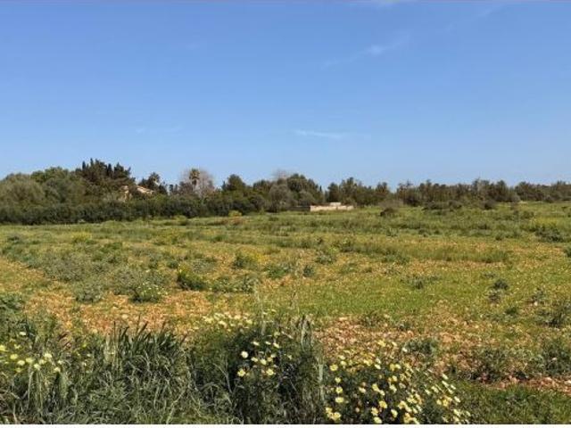 Local Comercial en venta en Pla de Mallorca, Baleares