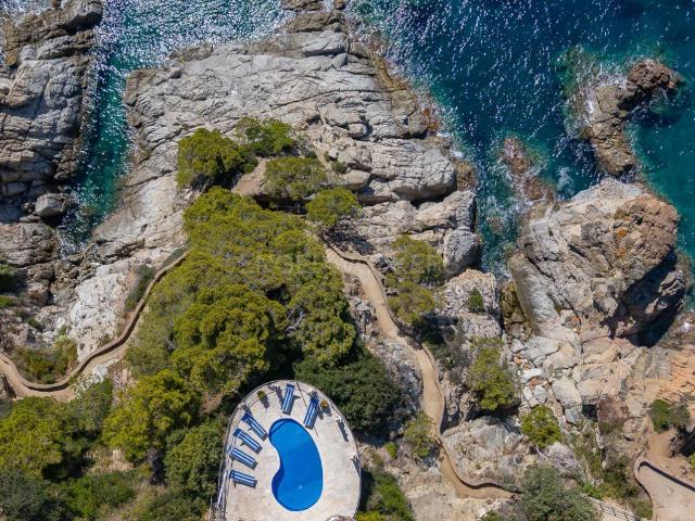 Casa en venta en la Tortuga, la Selva