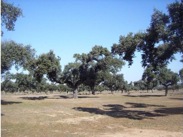 Chalet en venta en Aliseda, Extremadura