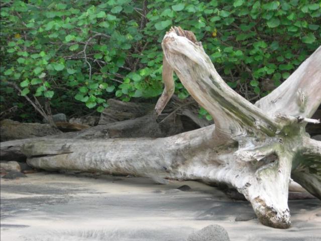 Exclusiva Villa en venta Balboa, Panamá