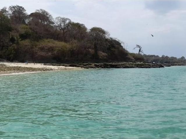 Villa / Chalet de lujo de 194000 m2 en venta en Balboa, Panamá