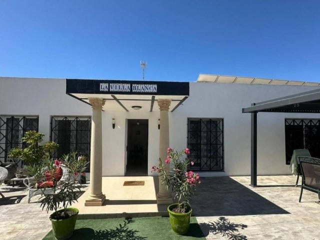 Chalet en venta en Urbanización La Marina-El Oasis, el Baix Segura / La Vega Baja