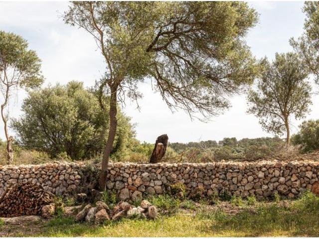 Casa en alquiler en Pla de Mallorca, Baleares