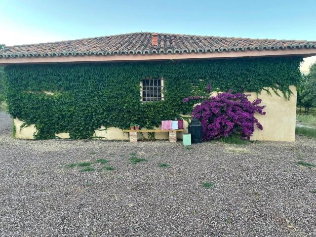Chalet en venta en Jaraíz De La Vera, Extremadura