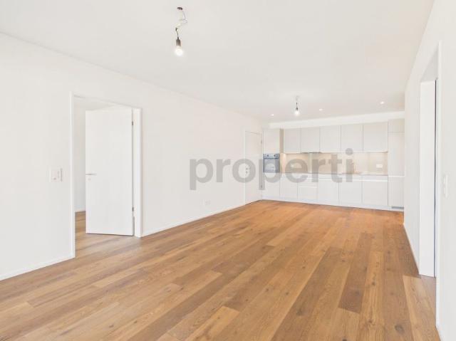 Apartment mieten in Wädenswil, Zürich