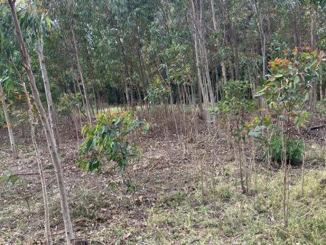 Land for sale in Karen, Kiambu